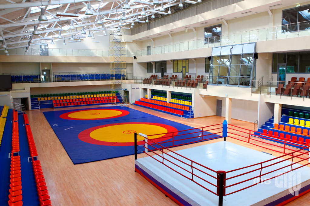 Естественное освещение спортивных арен